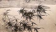 Bamboo Grove in a Windy Storm